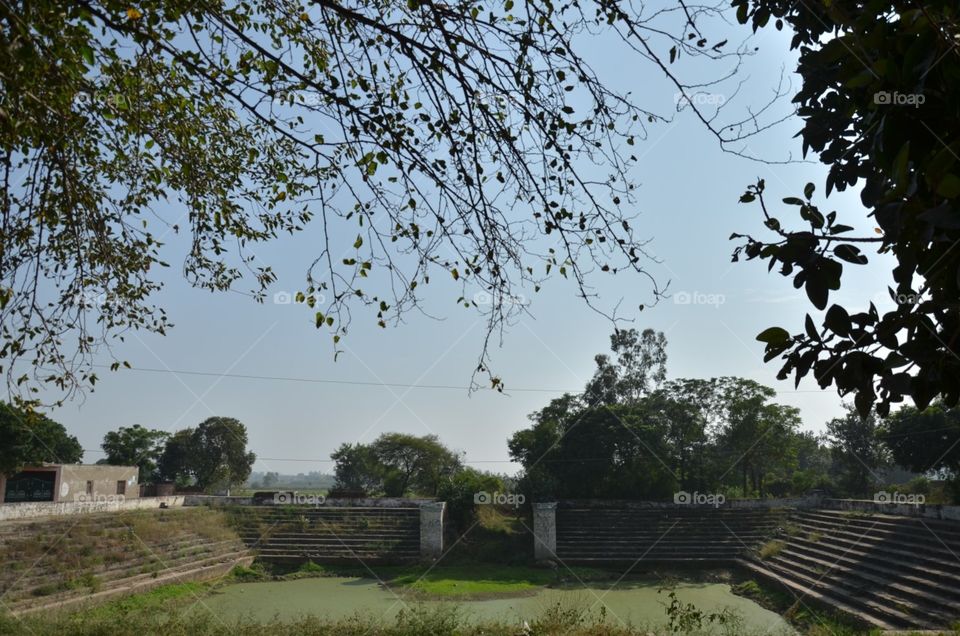 tourist garden