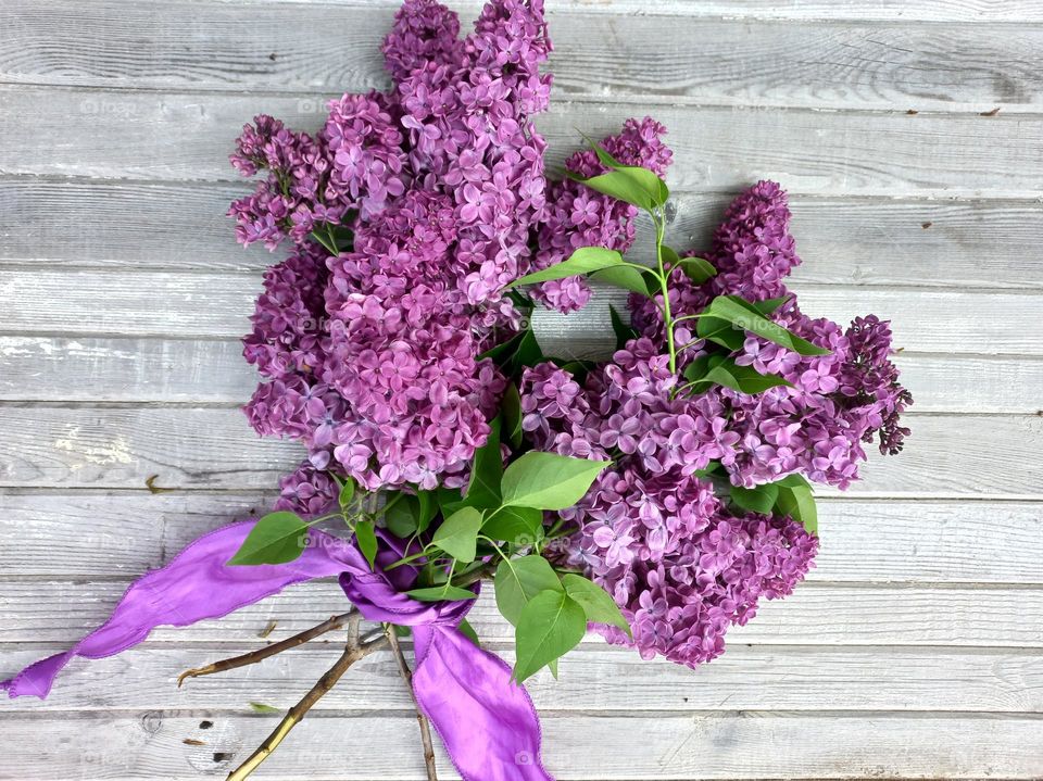 purple lilac flowers.