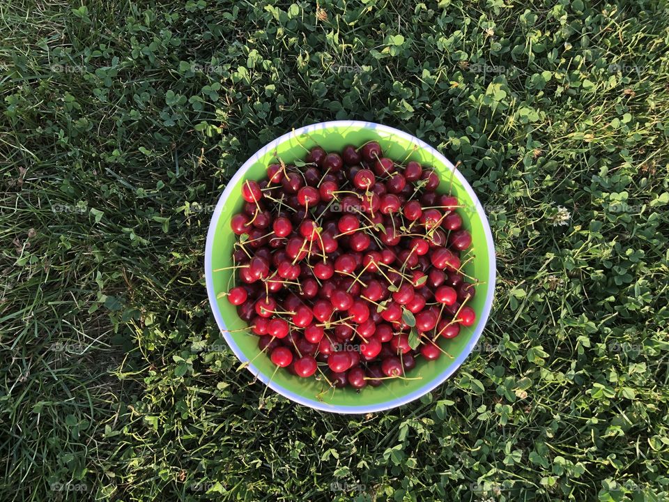 Cherries on green
