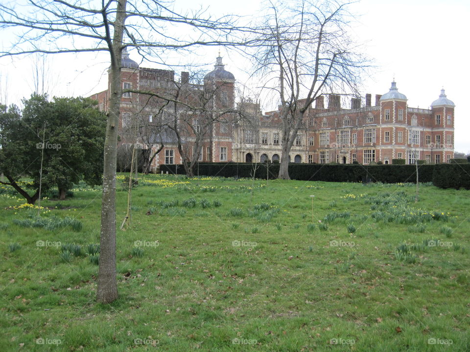 Architecture, Building, Grass, House, Old