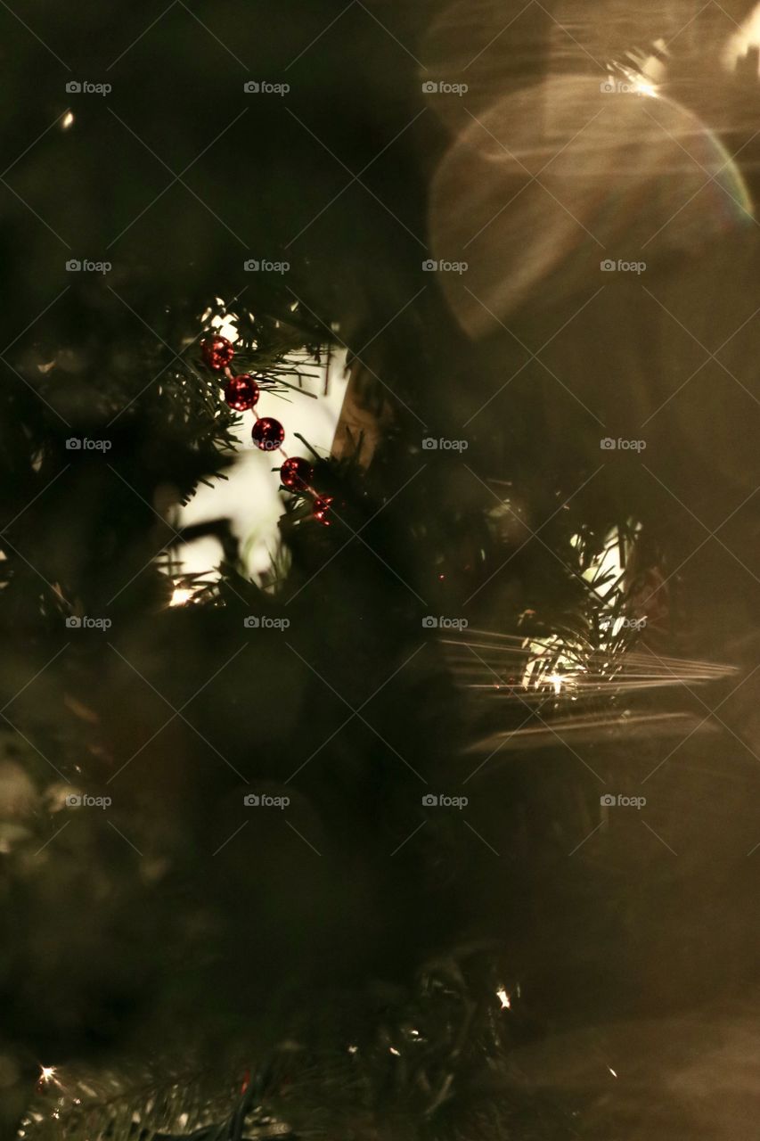 Looking through the Christmas tree.