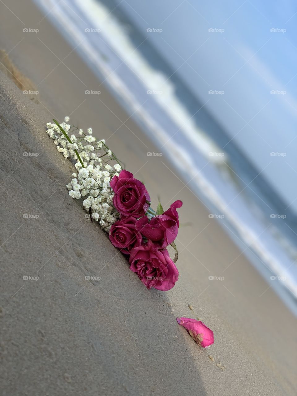 Pink roses on sandy beach