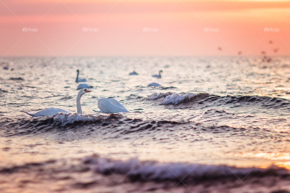 Sea, Water, Beach, Ocean, Sunset