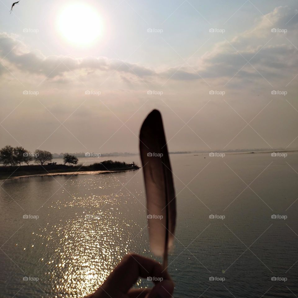 beautiful ramsar site