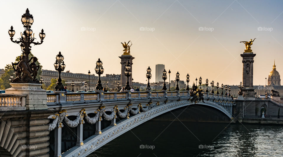 Pont Alexandre bridge iii, Paris, France