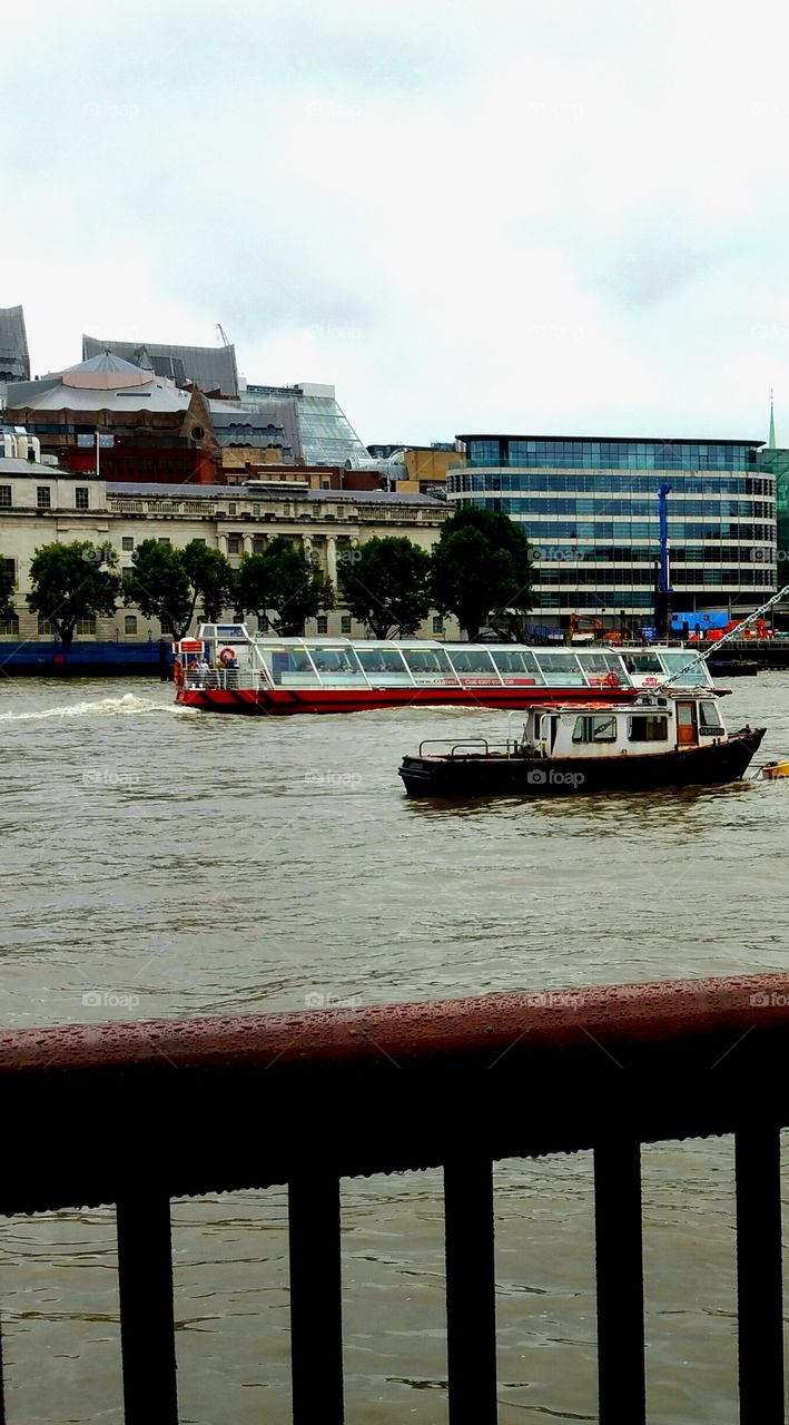 Thames River Cruise Boats