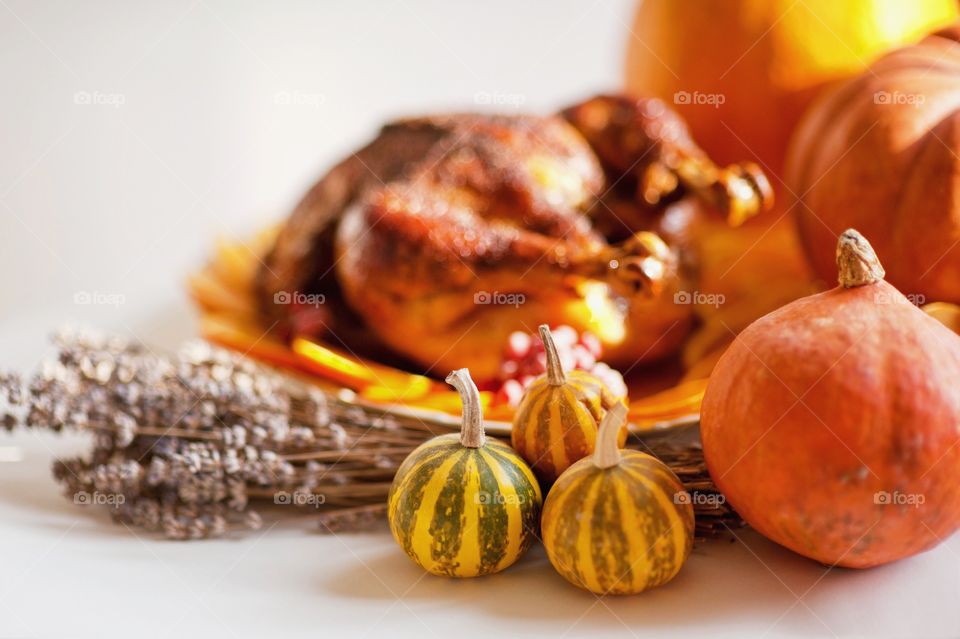 turkey, pumpkin, Thanksgiving, chicken, grill, pumpkin, holiday,