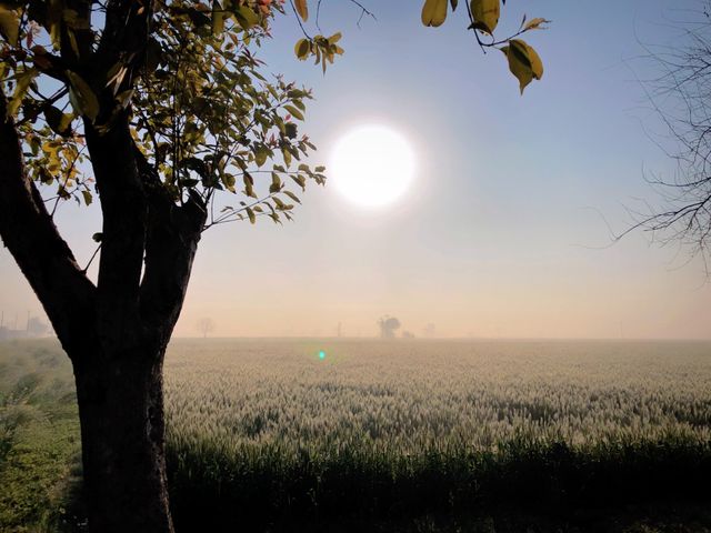 Rising Sun waking up the nature to life