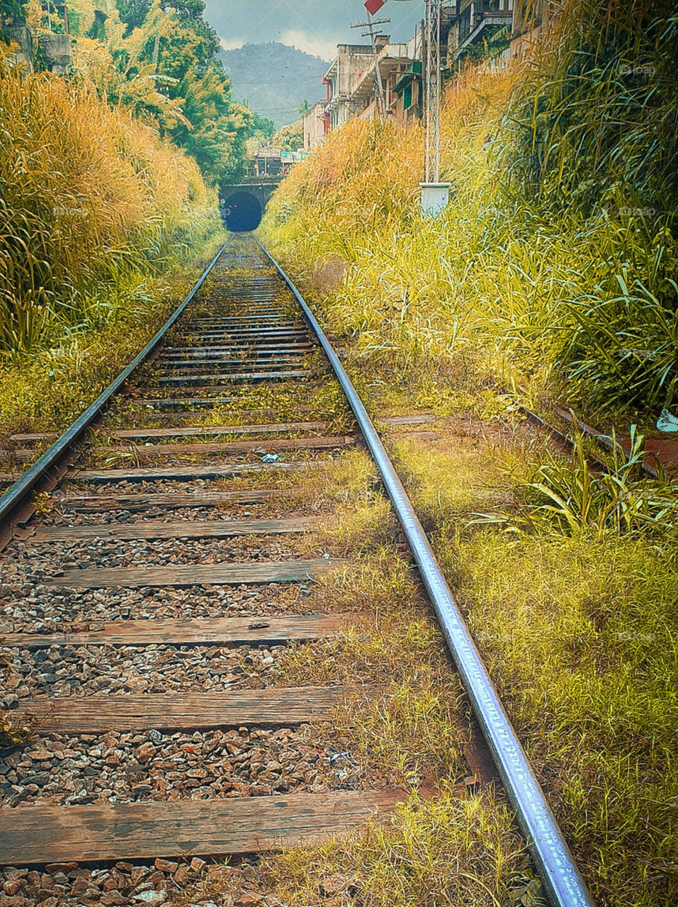 wonderful railway track in autumn season