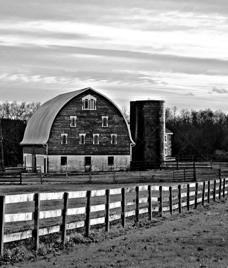black and white barn