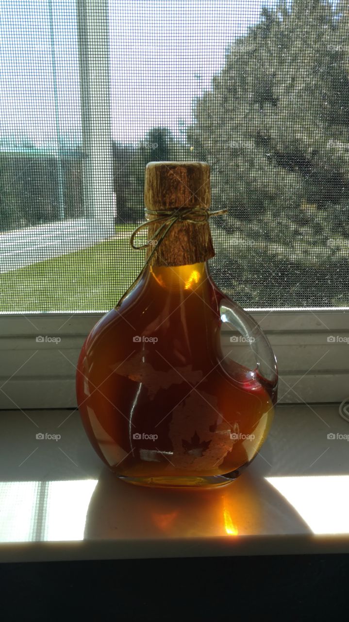 Michigan Maple Syrup in a window with pine trees