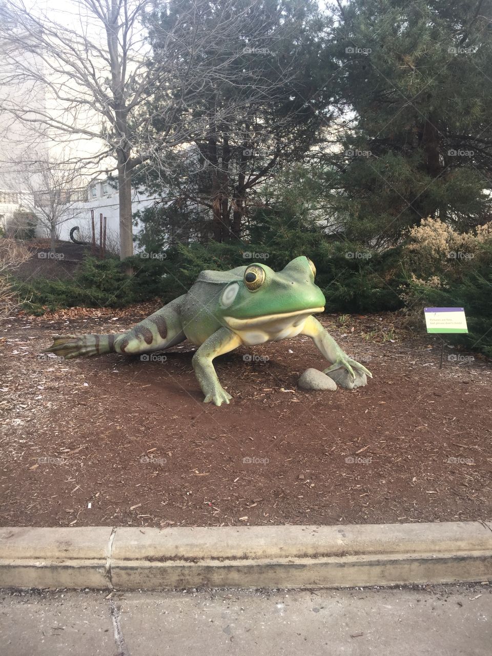 Frog sculpture. 🐸