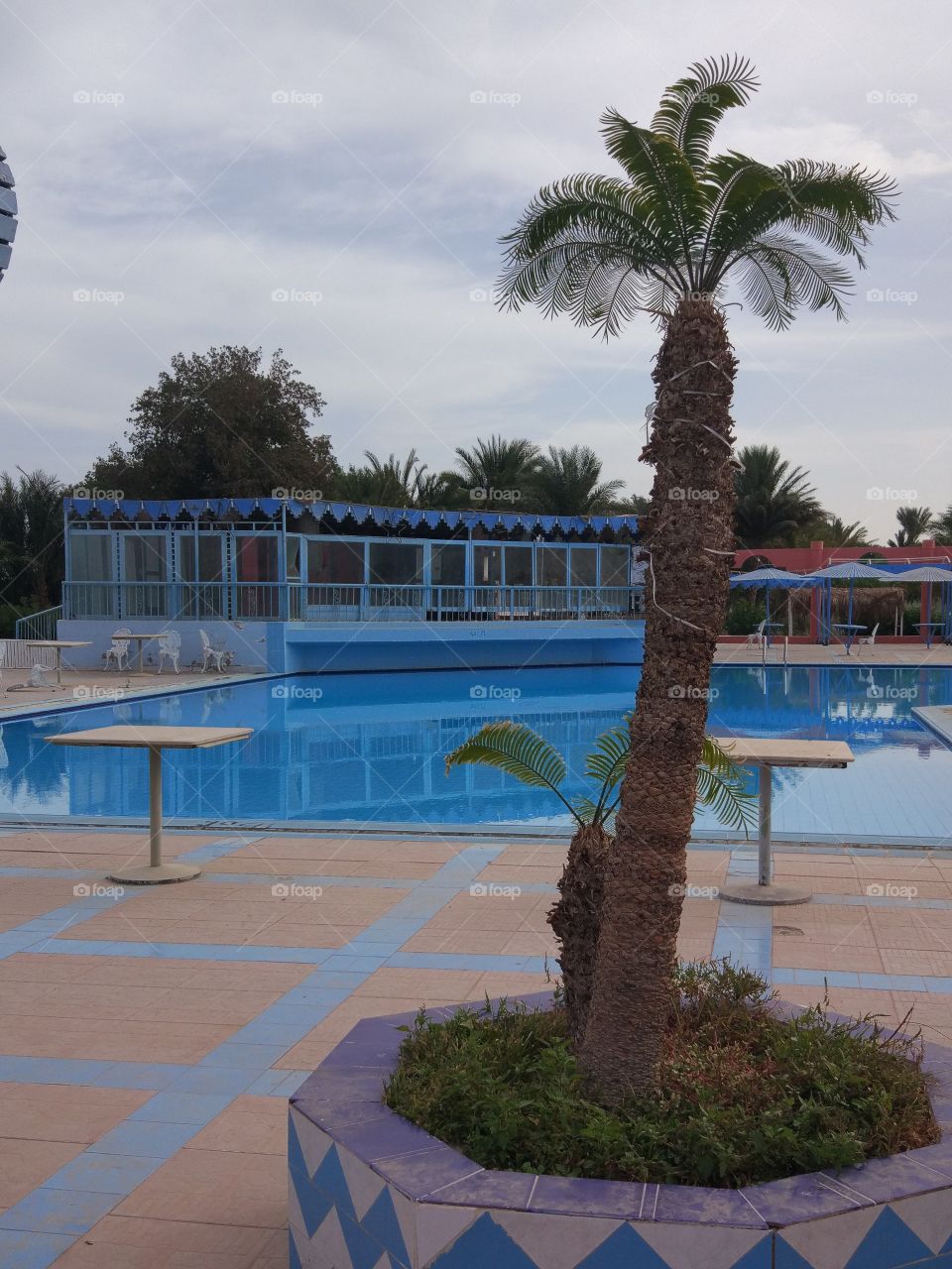 Dug Out Pool, Resort, Hotel, Swimming Pool, Tree