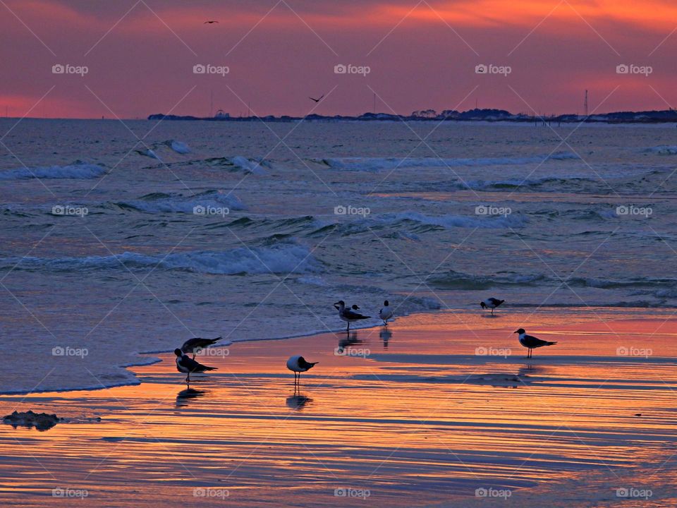 Vacation Series: Beaches - A Day at the Beach - When you go to the beach, there are a variety of fun activities to enjoy. Depending on your idea of a fun day at the beach, you can be as active or sedentary as you like.