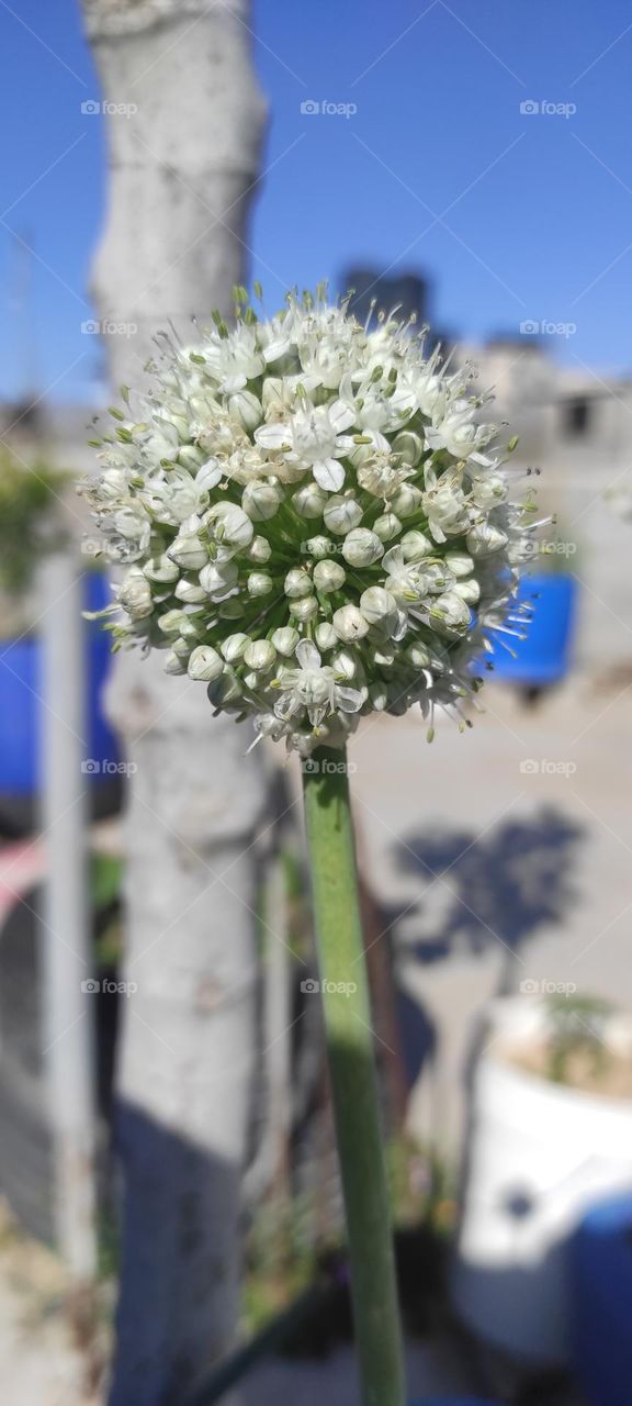 Pilt ilusast loodusest