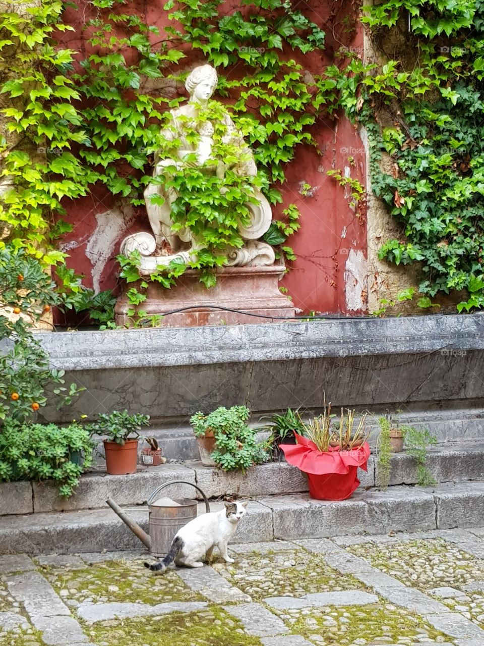 front of ivy covered statue in lovely courtyard in Palermo, Sicily.