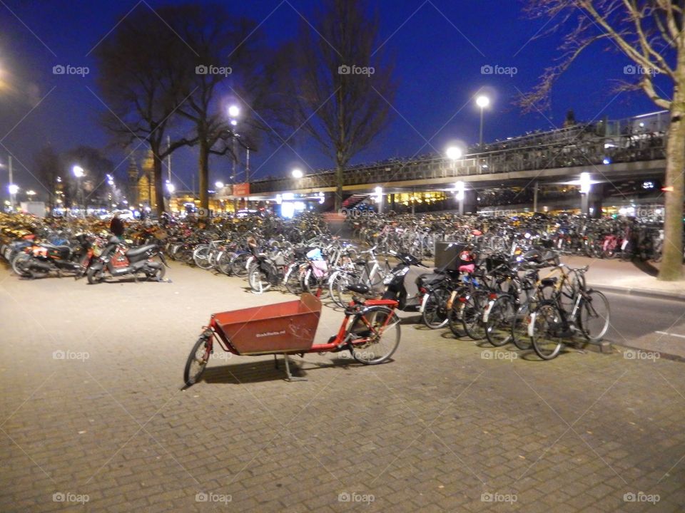 bicycles of Amsterdam