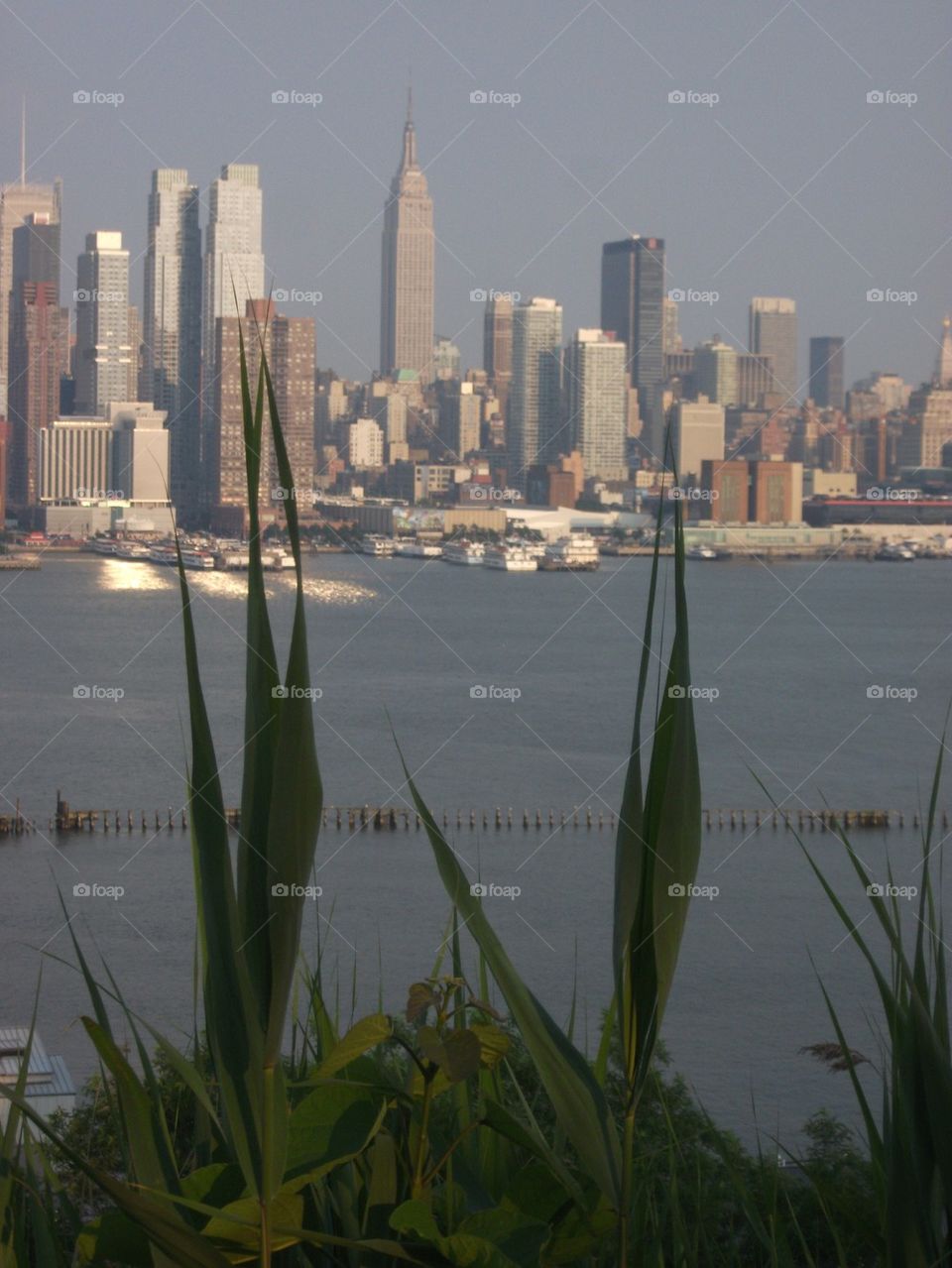 New York skyline grass