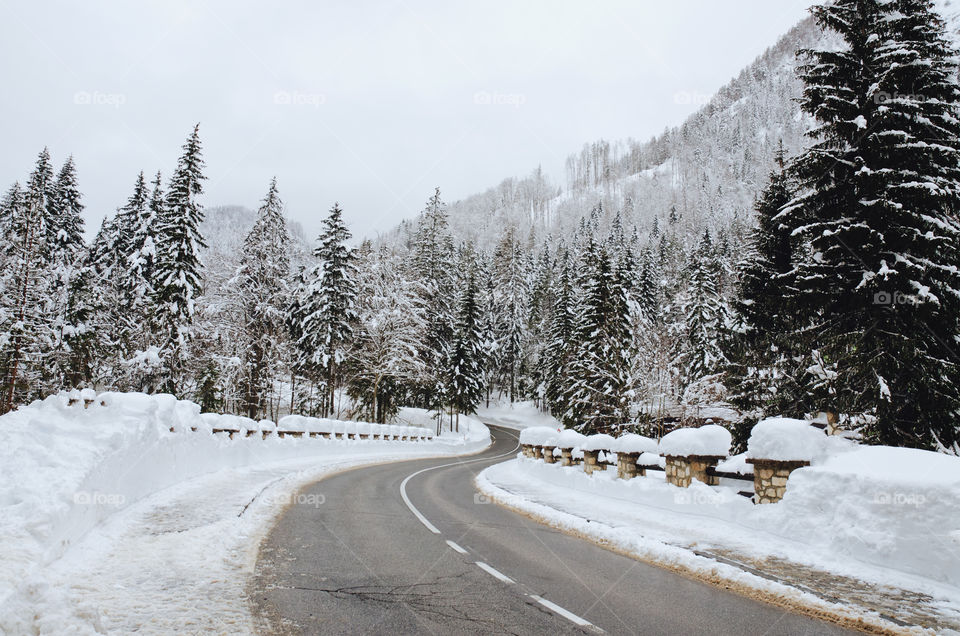 Scenic view of winter background of the snow covered mountains and pine trees. Slovenia, Kranjska Gora.