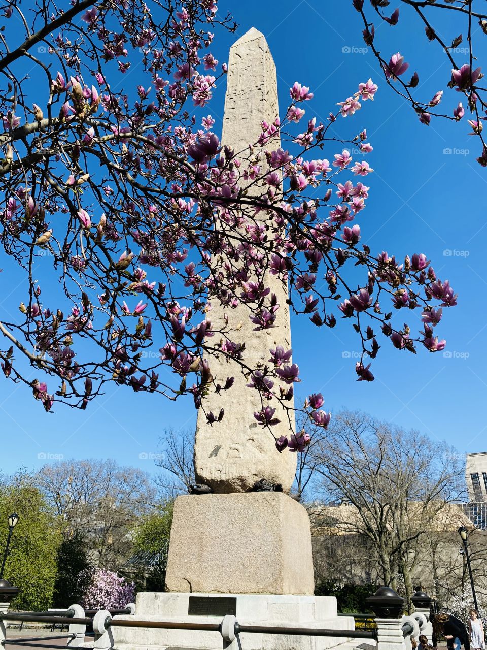 Cleopatra’s Needle Central Park 