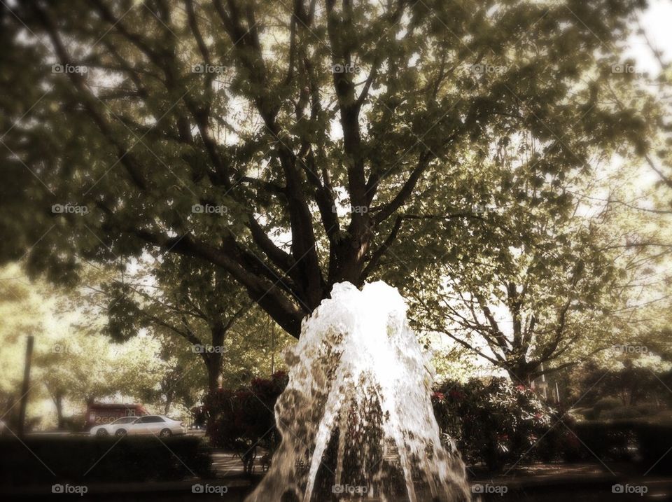 Spring Fountain