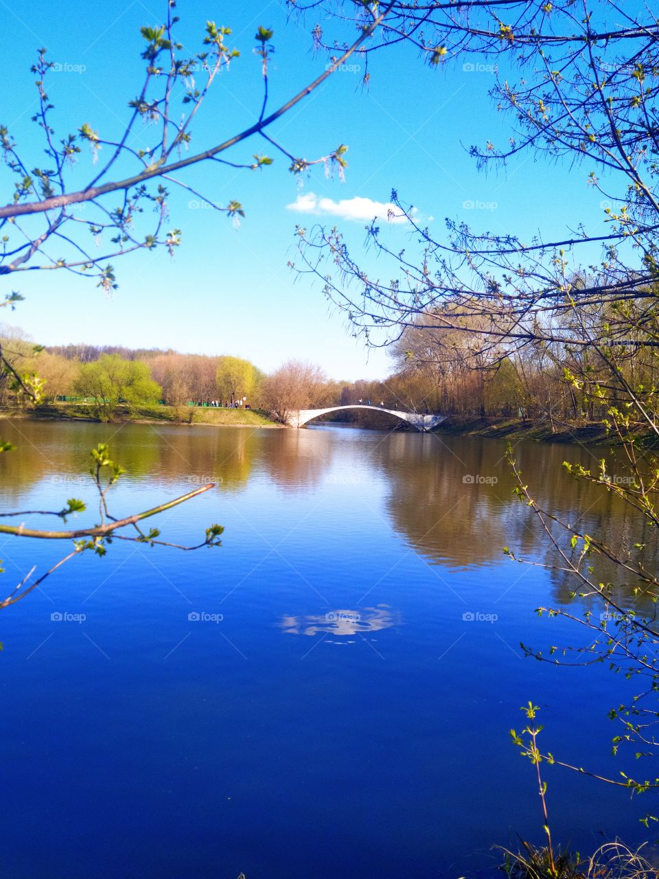 Spring.  The trees begin to bloom, the blue pond and the lonely cloud