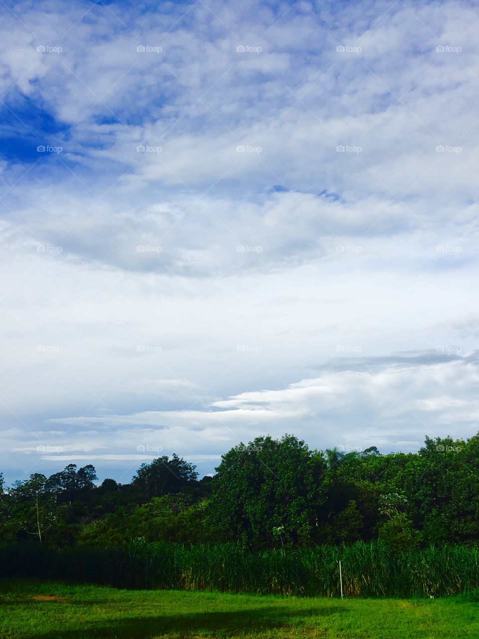 Uma imagem do fim de dia: #céu azul e #verde do mato. A #paisagem ideal para espairecer o difícil dia...
☁️ 
#nuvens
#sky
#natureza