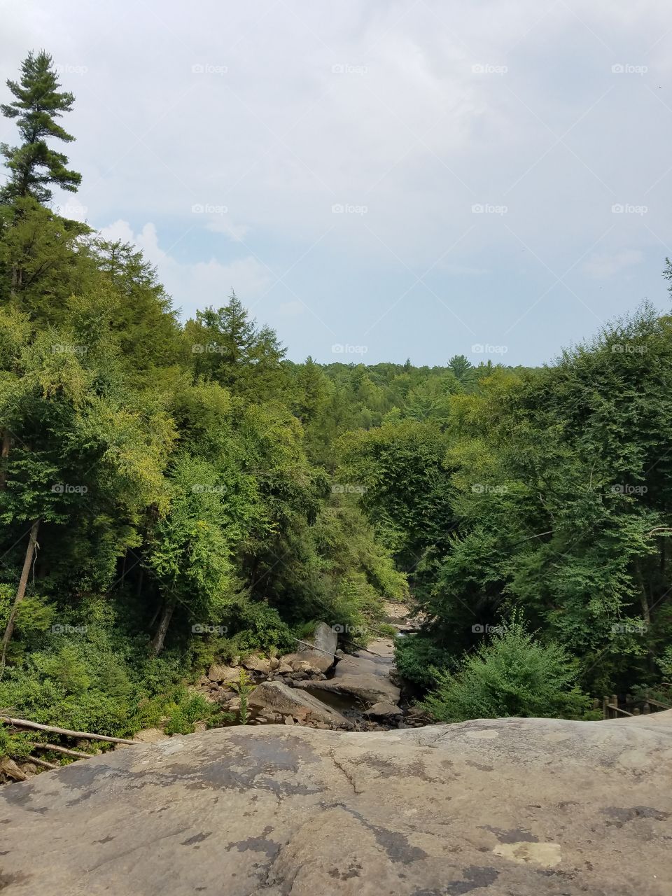on top of Muddy Creek Falls looking down at the ridge.