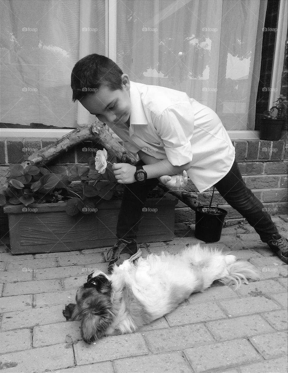 Cute moment- boy with a rose and his dog