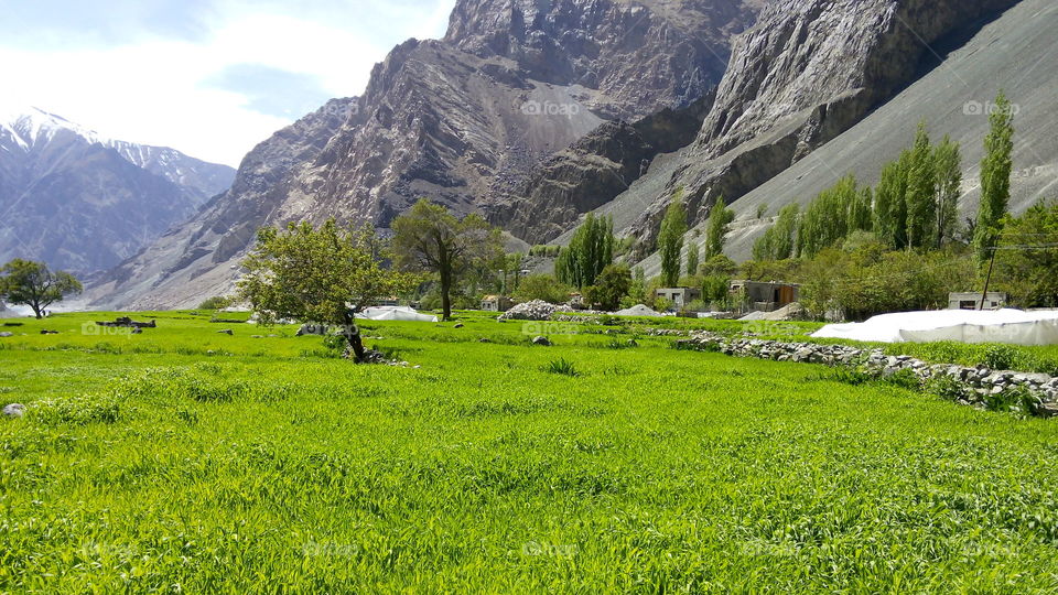 A beautiful scene of a village in Leh Laddakh called Bongdang Located in state of India Kashmir. That's why it's called heaven on earth.