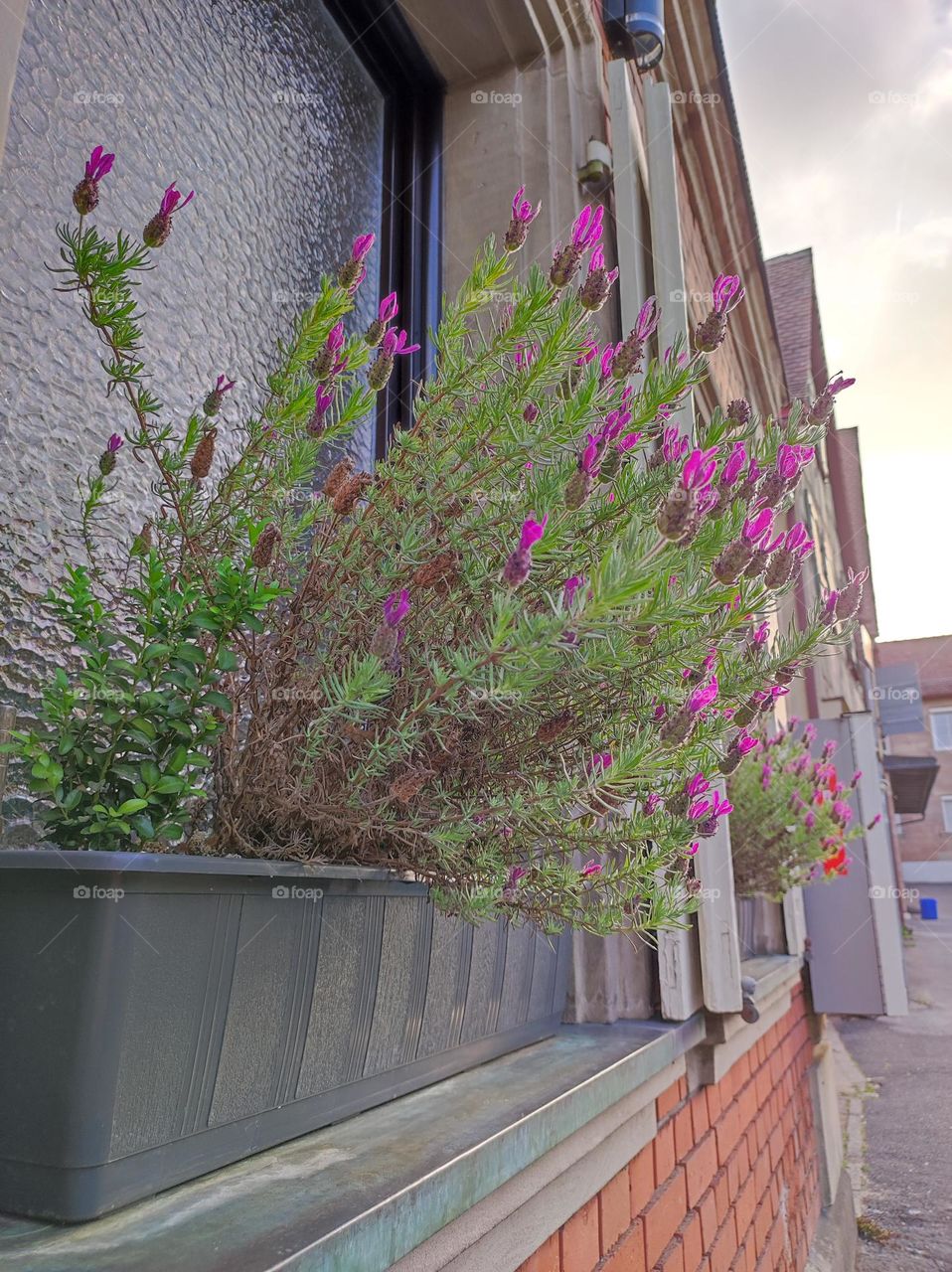 Bright lights ❤️🌹