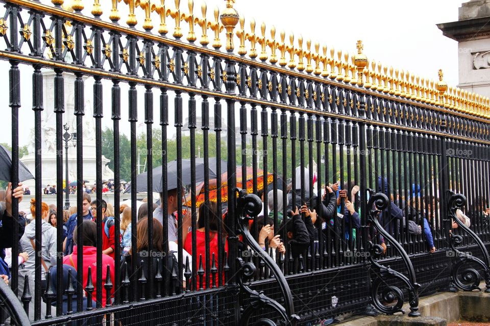 Trapped by fence
London