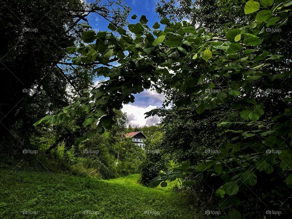 An house in the middle of the nature.