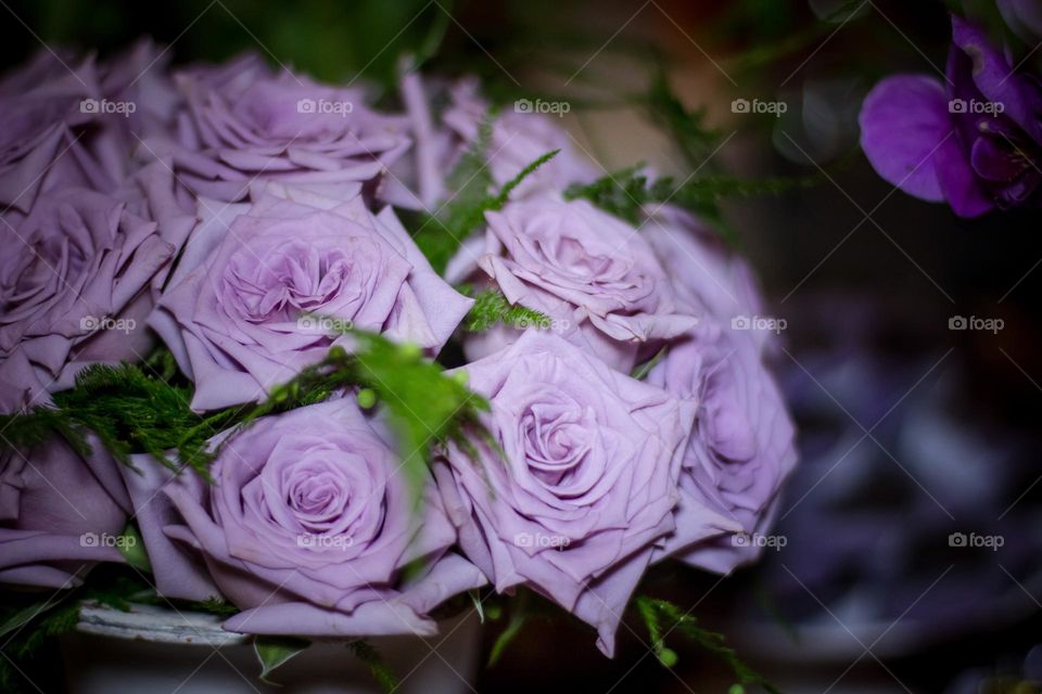 Light purple flowers in a vase