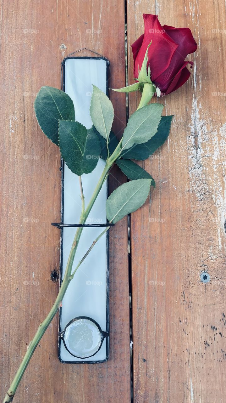 Texture is everything. From the petals of a flower, to a piece of wood, to leaded glass.