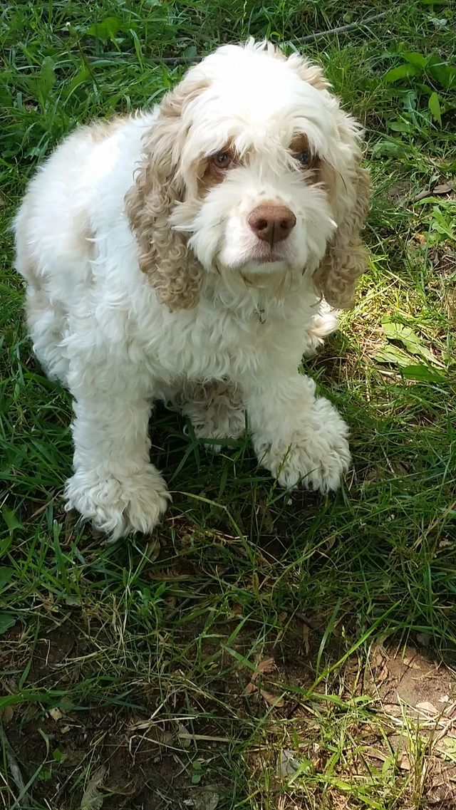 bella. just visiting
