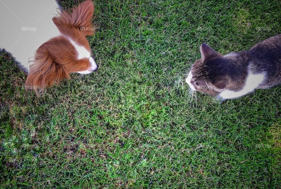 Meeting in the Yard