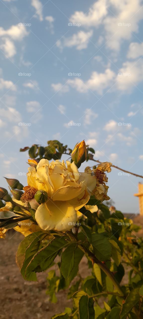 Nice view from Jordan 🇯🇴