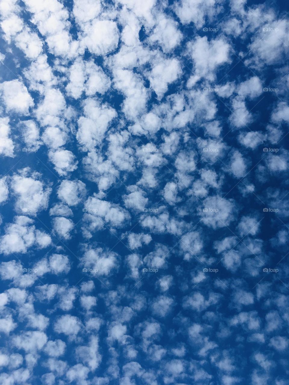 Beautiful blue sky covered in cotton candy ball clouds. Beautiful, peaceful and relaxing. 