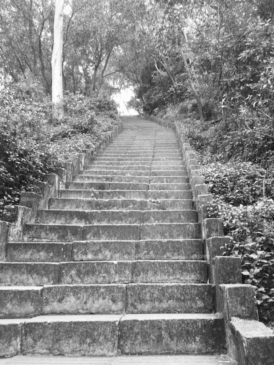 Steps at Nanshan Mountain in Shenzhen, China