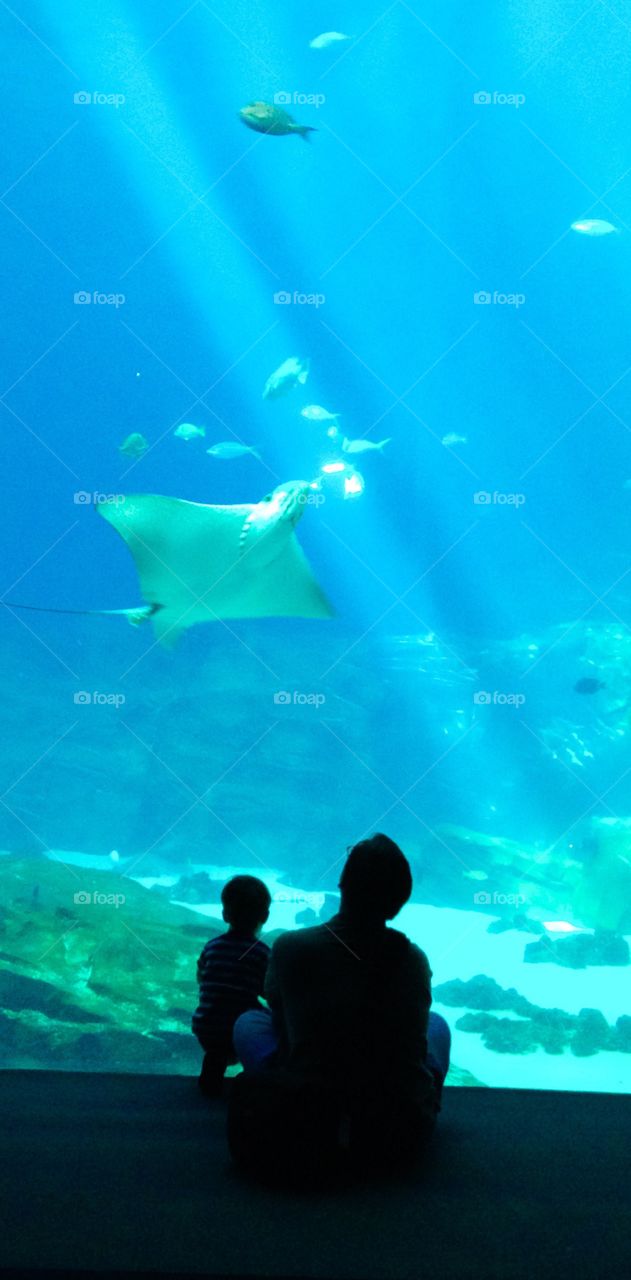 Father and Son at Aquarium