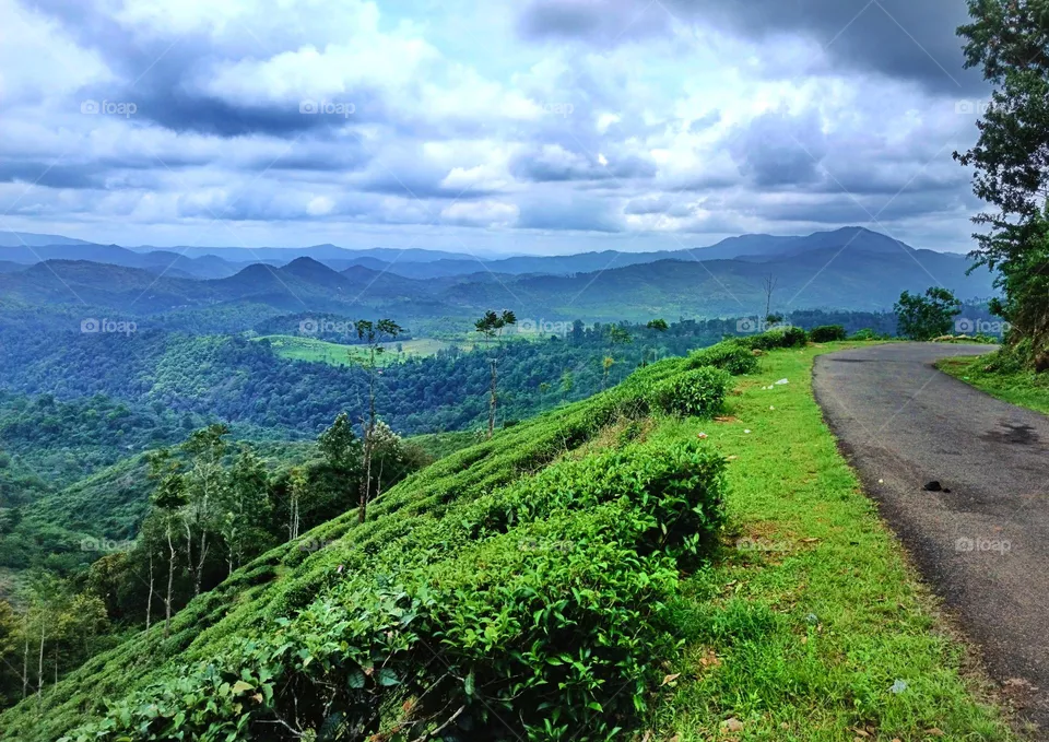 mount vew