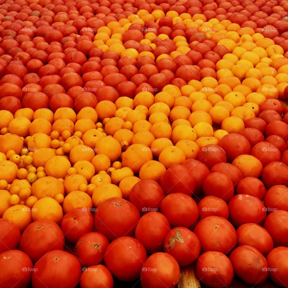Red and orange tomatoes arranged in a swirl at a farmer's market in Maryland