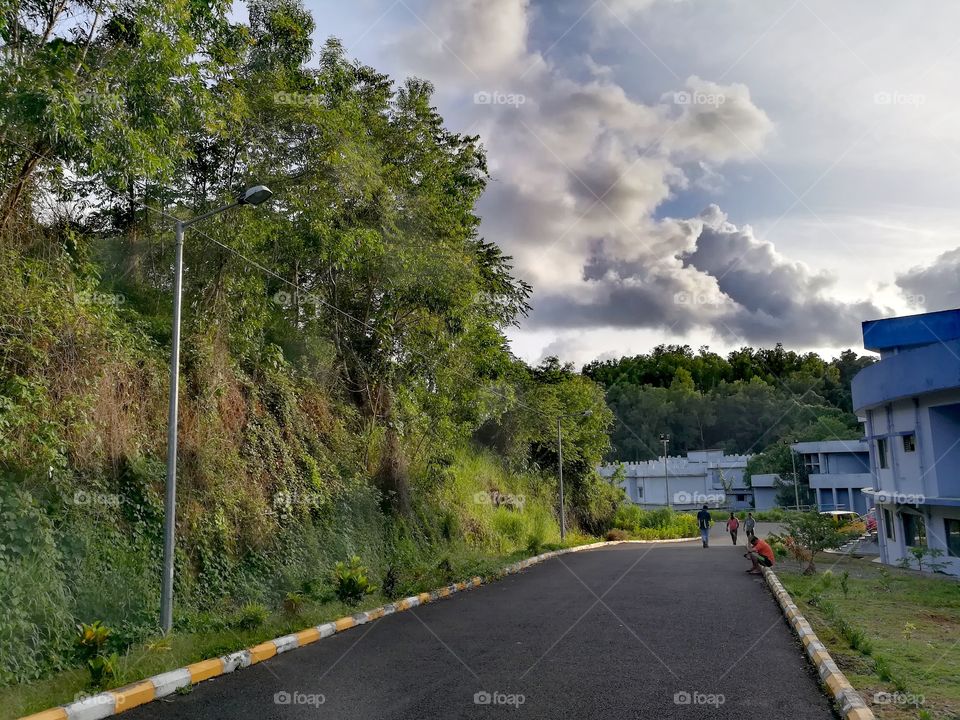 Trees, Green Jungle, Pathways, Clouds, Rainy Season, Mobile Photography.