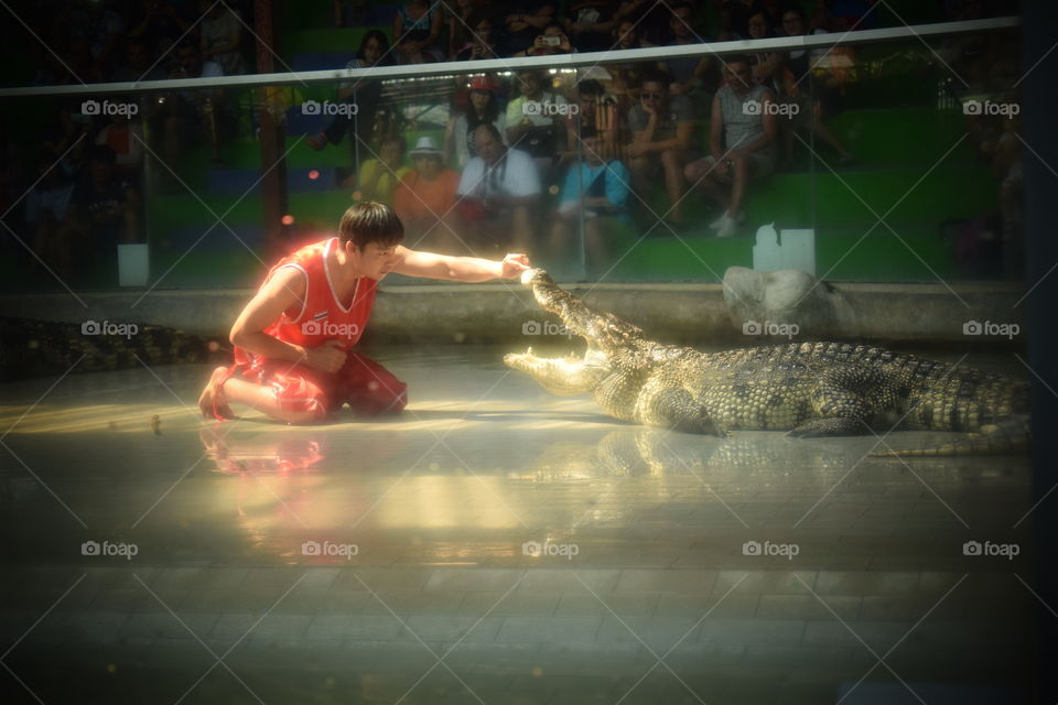 crocodile show in Thailand!
