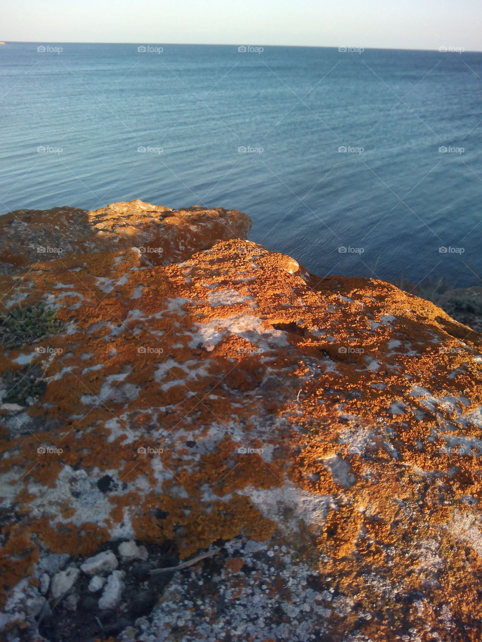 Water, No Person, Rock, Seashore, Sea