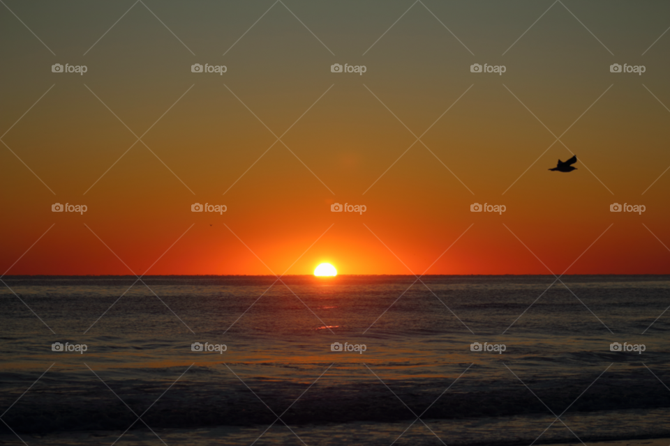 beach ocean sky orange by kremnax74