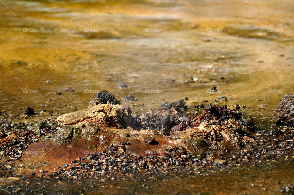 Mud pool