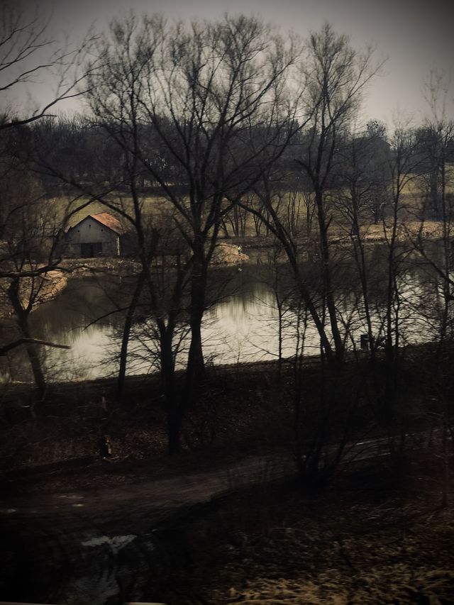 on the way home