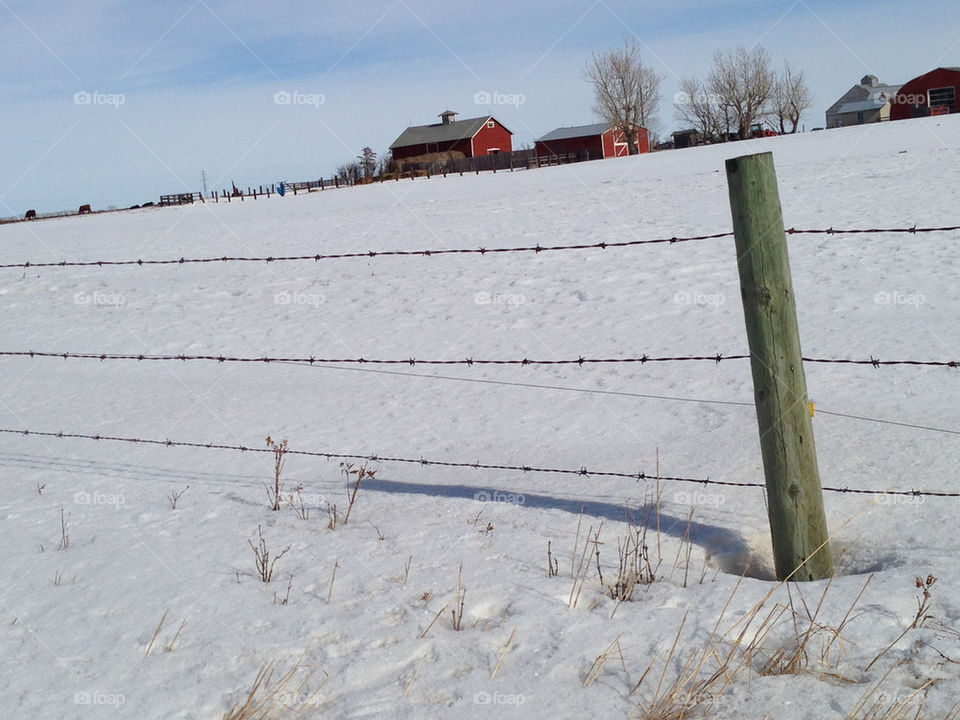 Red barn in winter